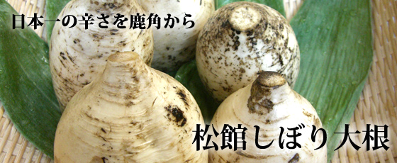 地域の風土気候がつくり出す松館のしぼり大根はおそば、刺身、てんぷらなどの薬味