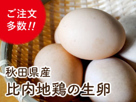 大人気！秋田県産比内地鶏の生卵